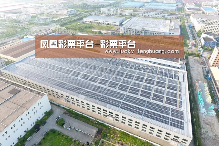 案例展示二