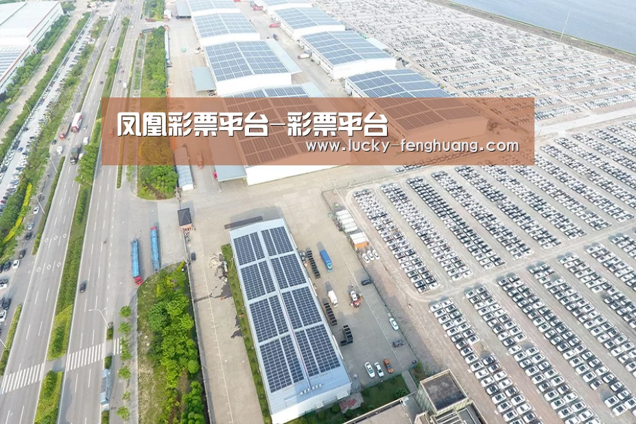 案例展示四