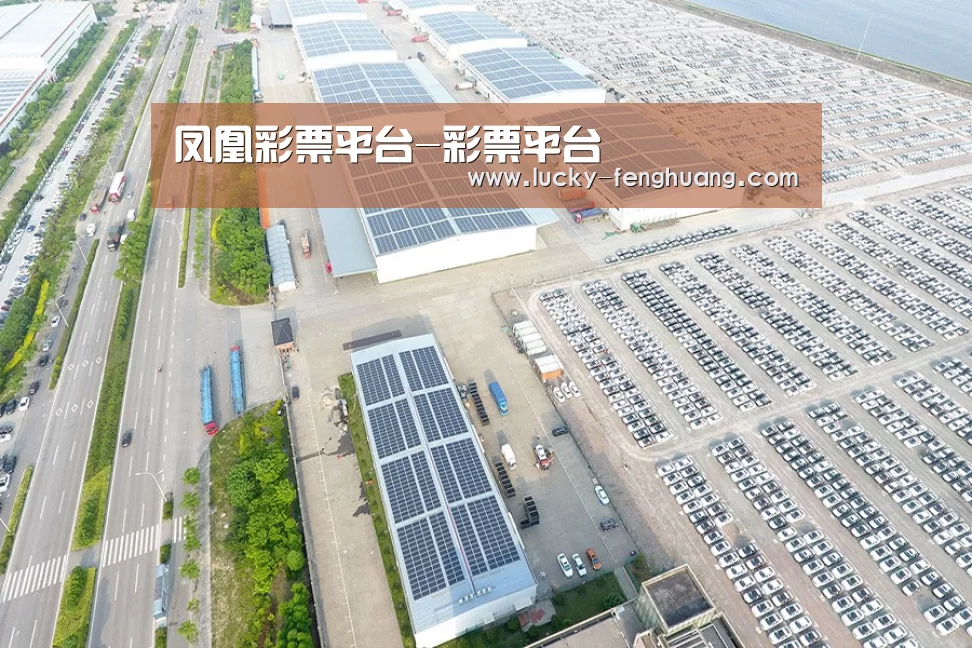 案例展示二