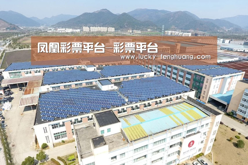 案例展示三